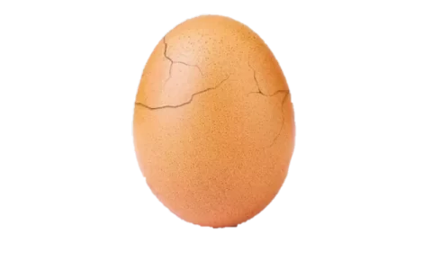 BoiledEgg