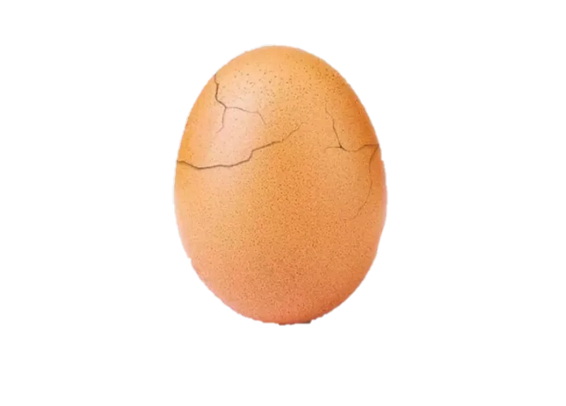 BoiledEgg