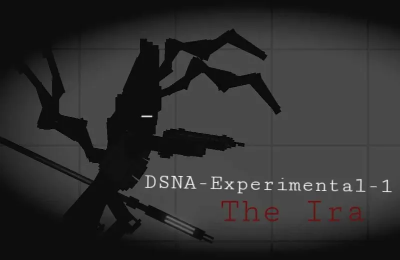 DSNA-Experimental-1