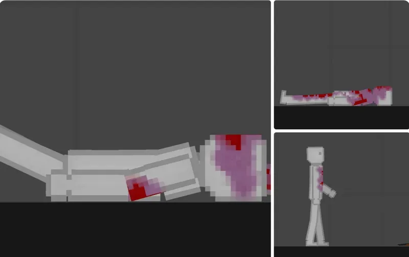 Human that can bruise