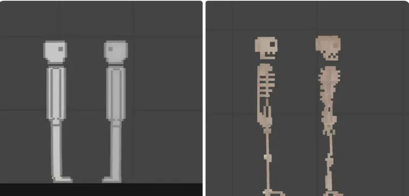 PPG Human 1.2 version