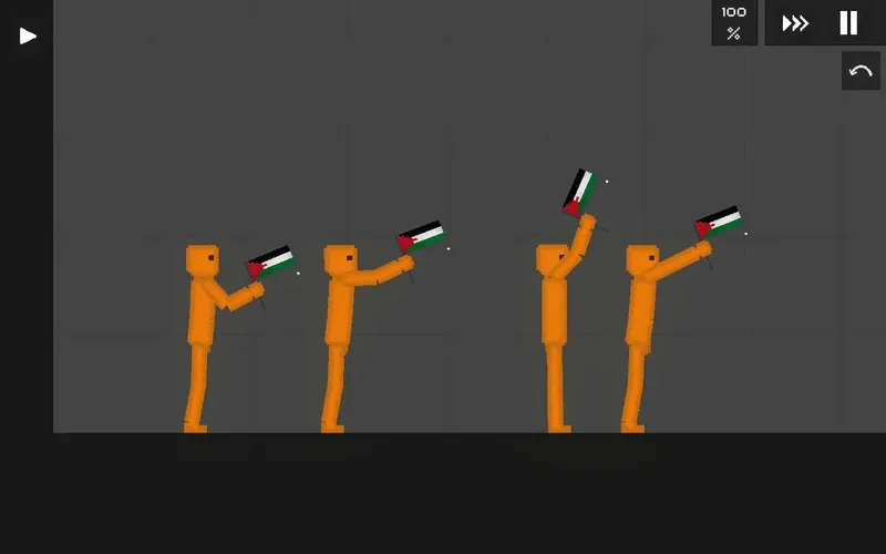 Palestine_Flag