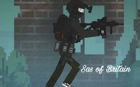 SAS