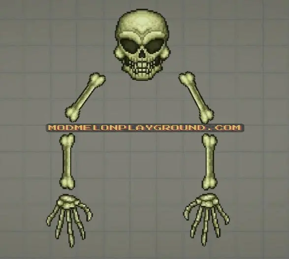 Skeletron Terraria