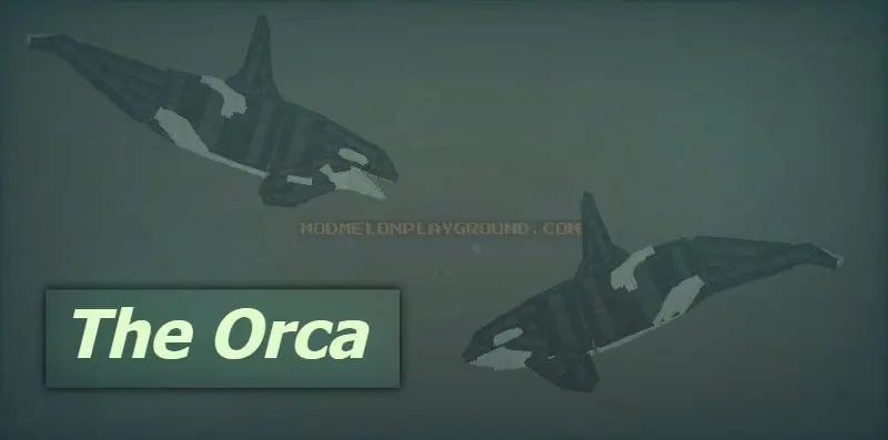 Orca