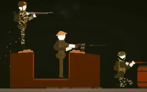 Vietnamese Soldiers